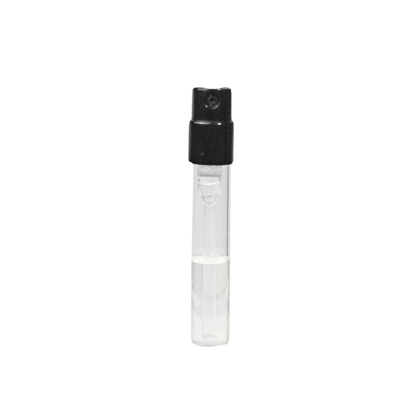 Alternate Image of Sample - Poets of Berlin EDP