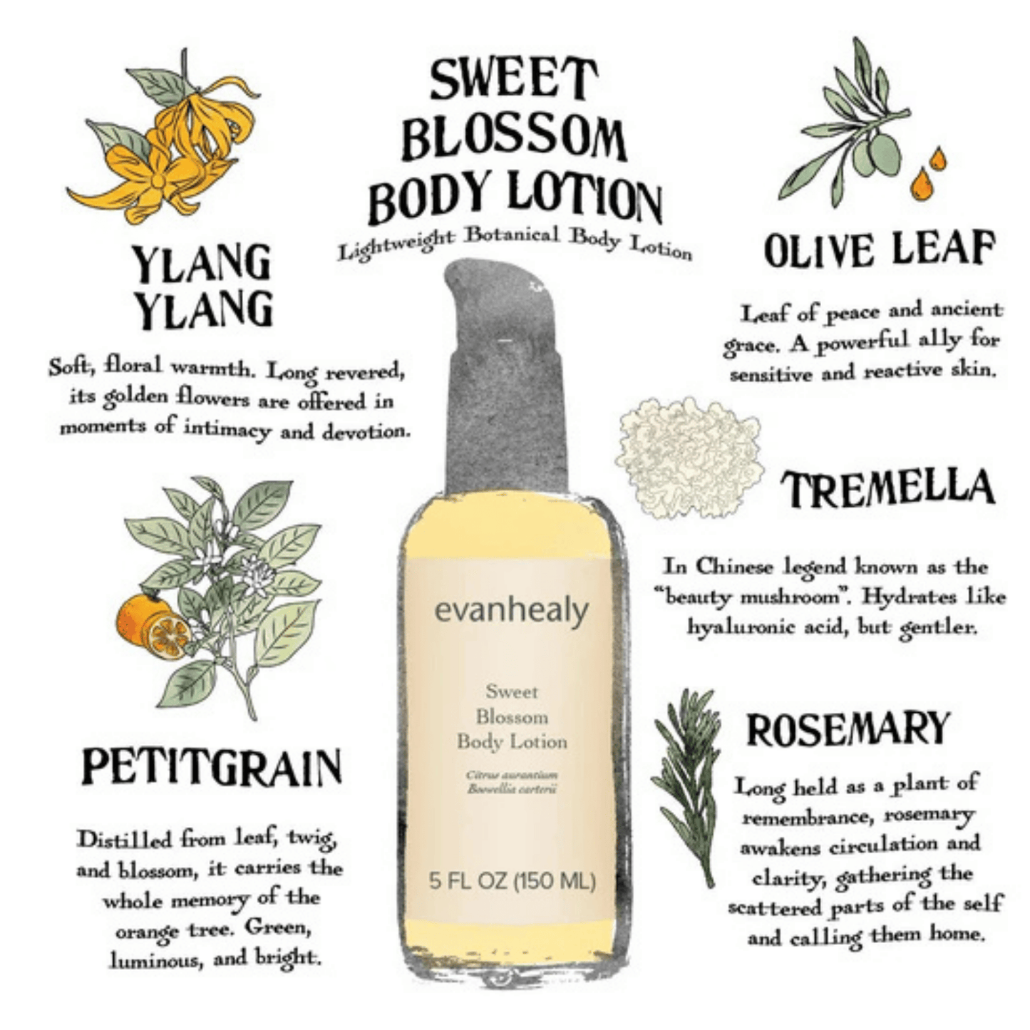 Alternate image of evanhealy Sweet Blossom Body Lotion (5 fl oz)