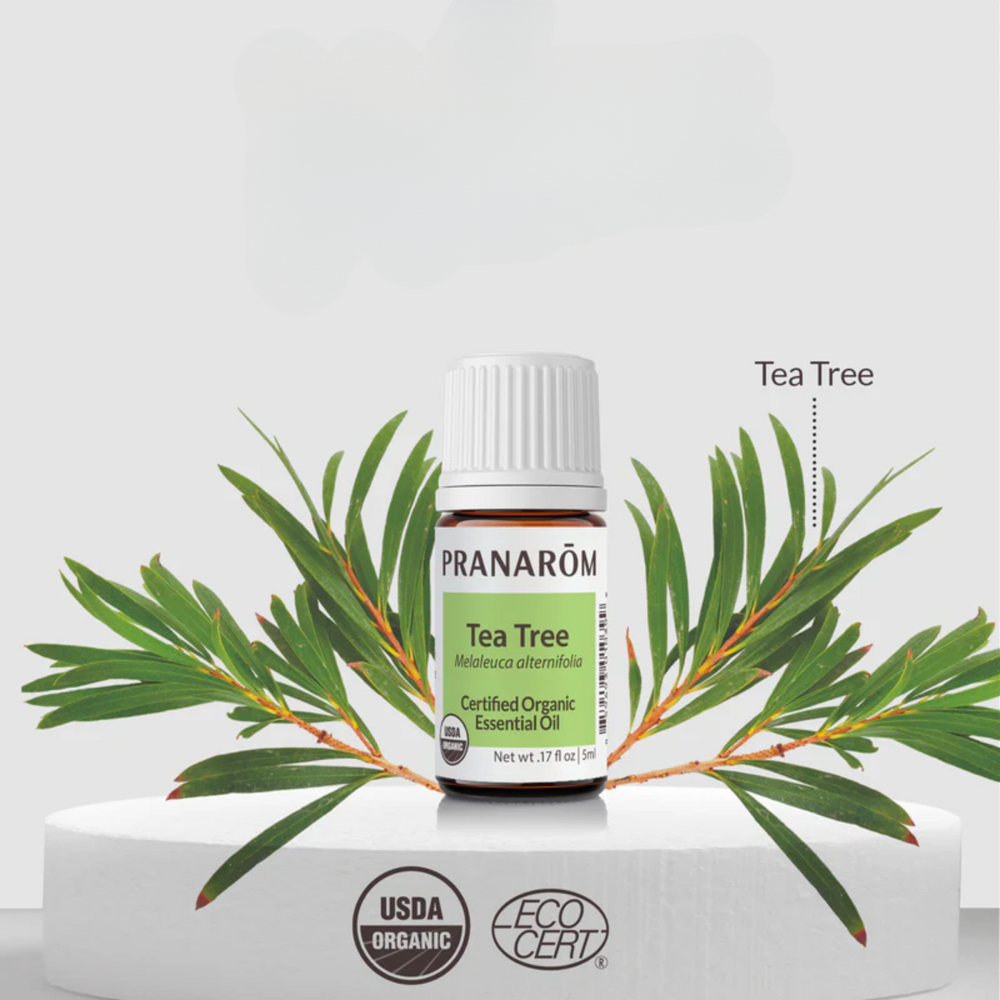 alternate image of pranarom tea tree essential oil