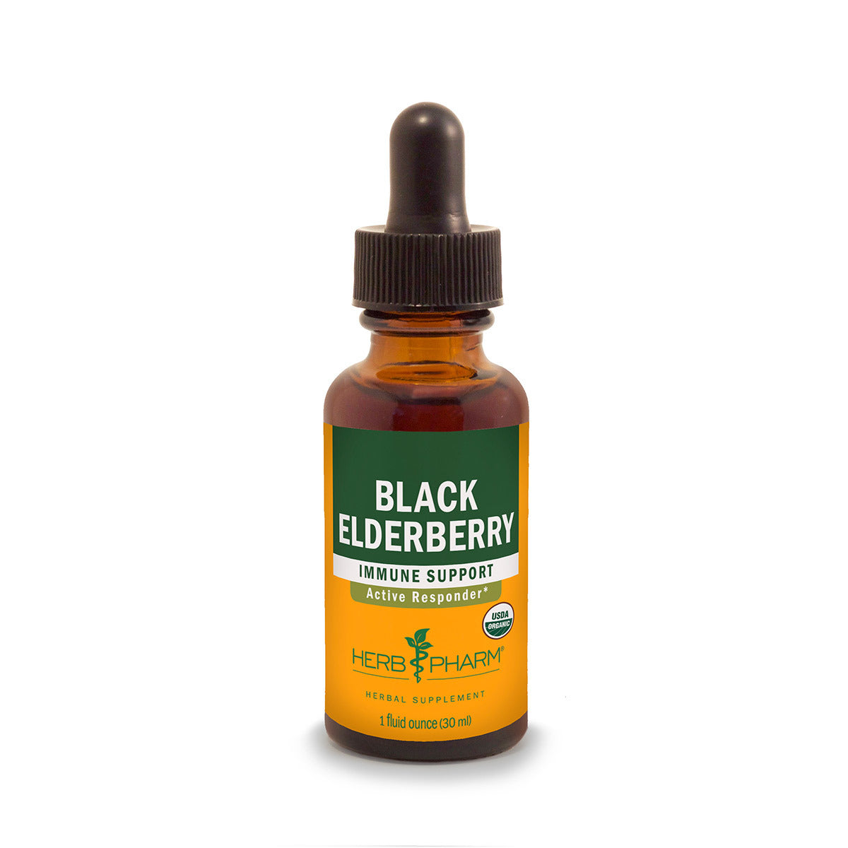 Primary image of Black Elderberry Extract