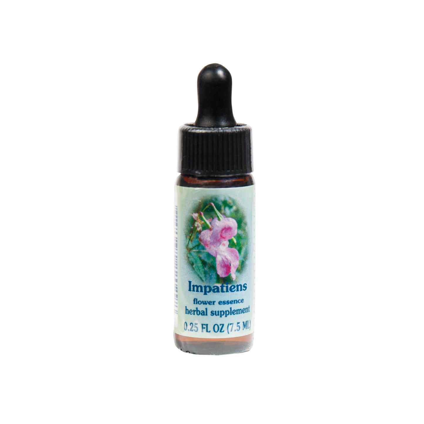 Primary image of Impatiens