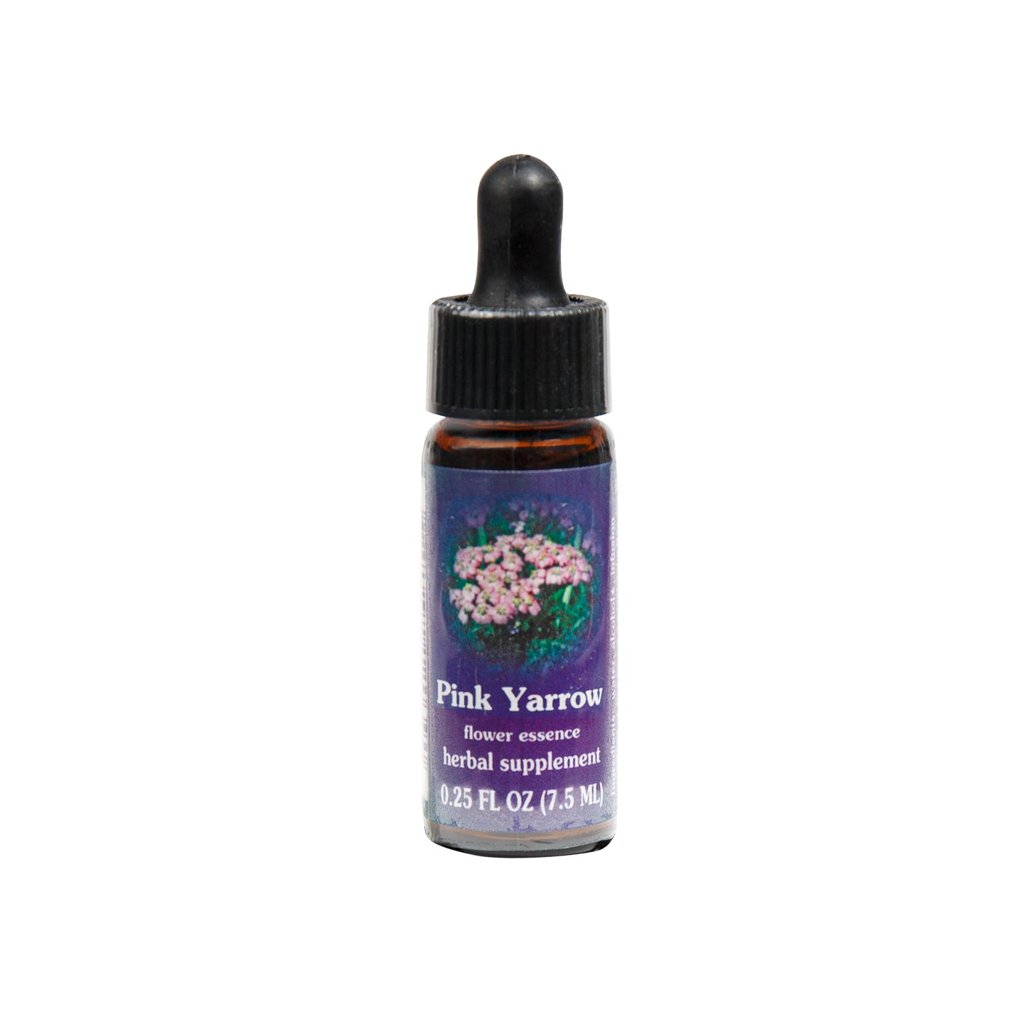 Primary image of Pink Yarrow