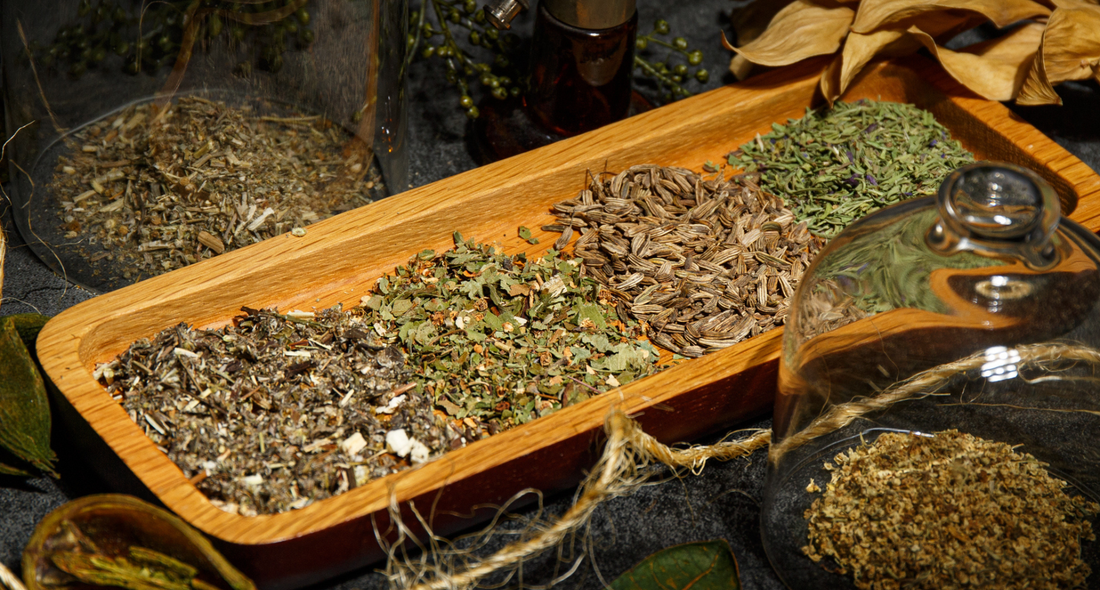 The Herbal Folklore of Halloween: Witchy Herbs & Transformative Plants for the Season