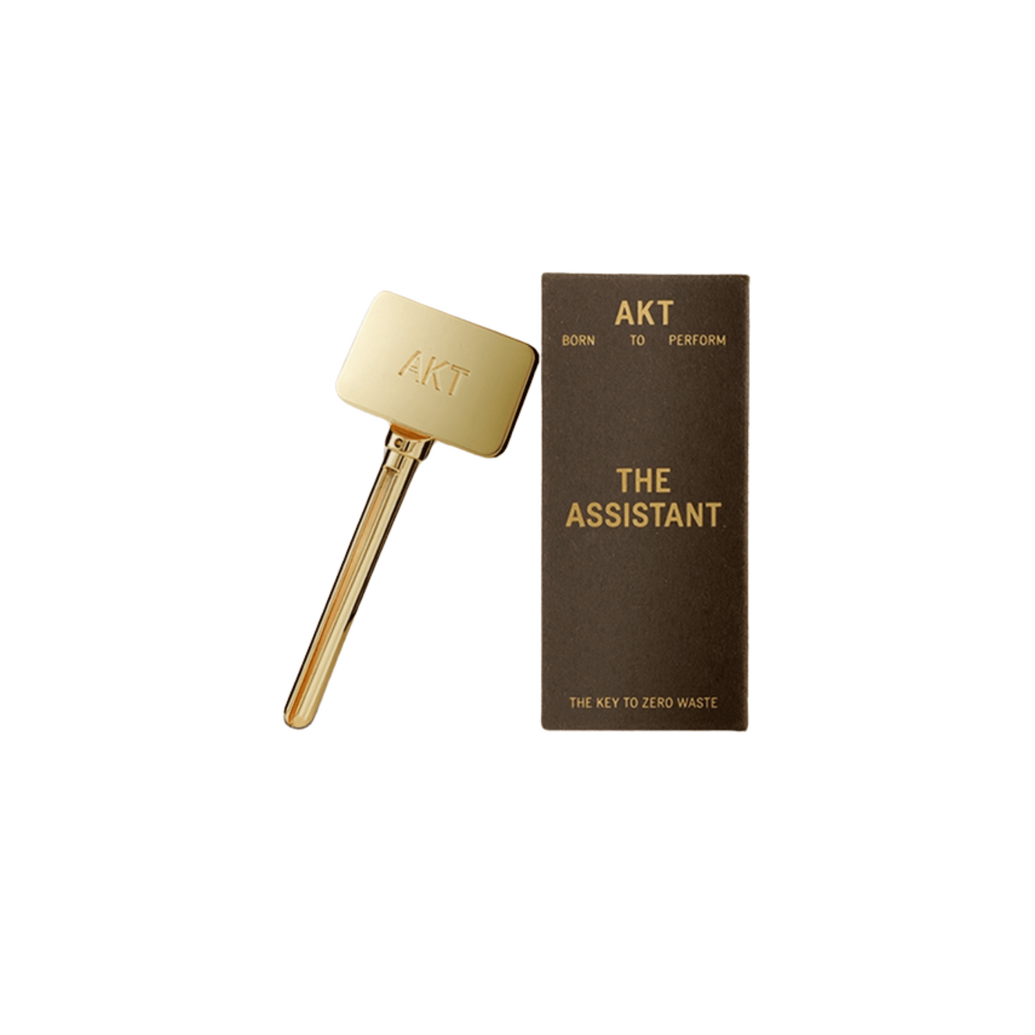 Primary Image the Assistant Tube Key