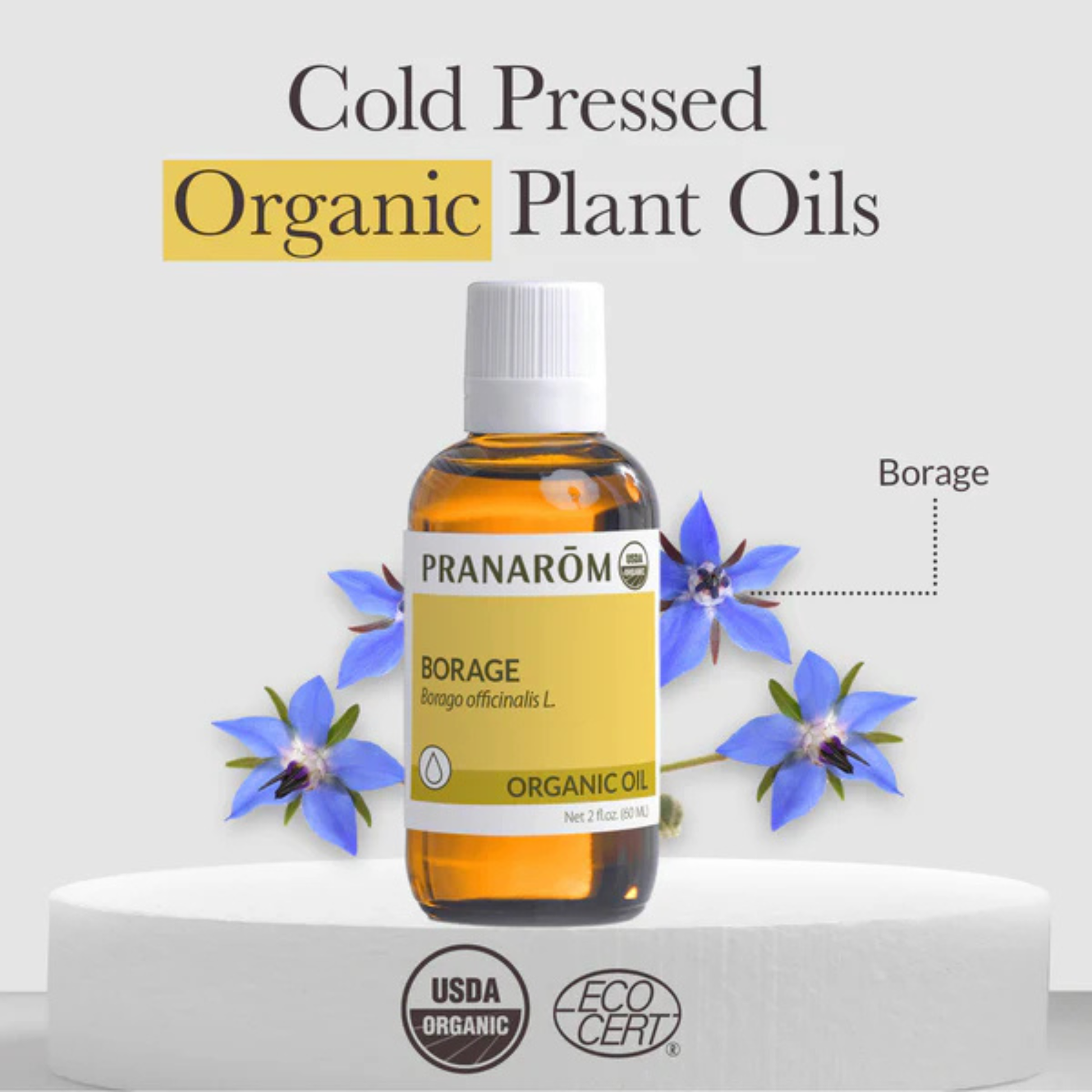 Ingredients image of  Borage Virgin Plant Oil 