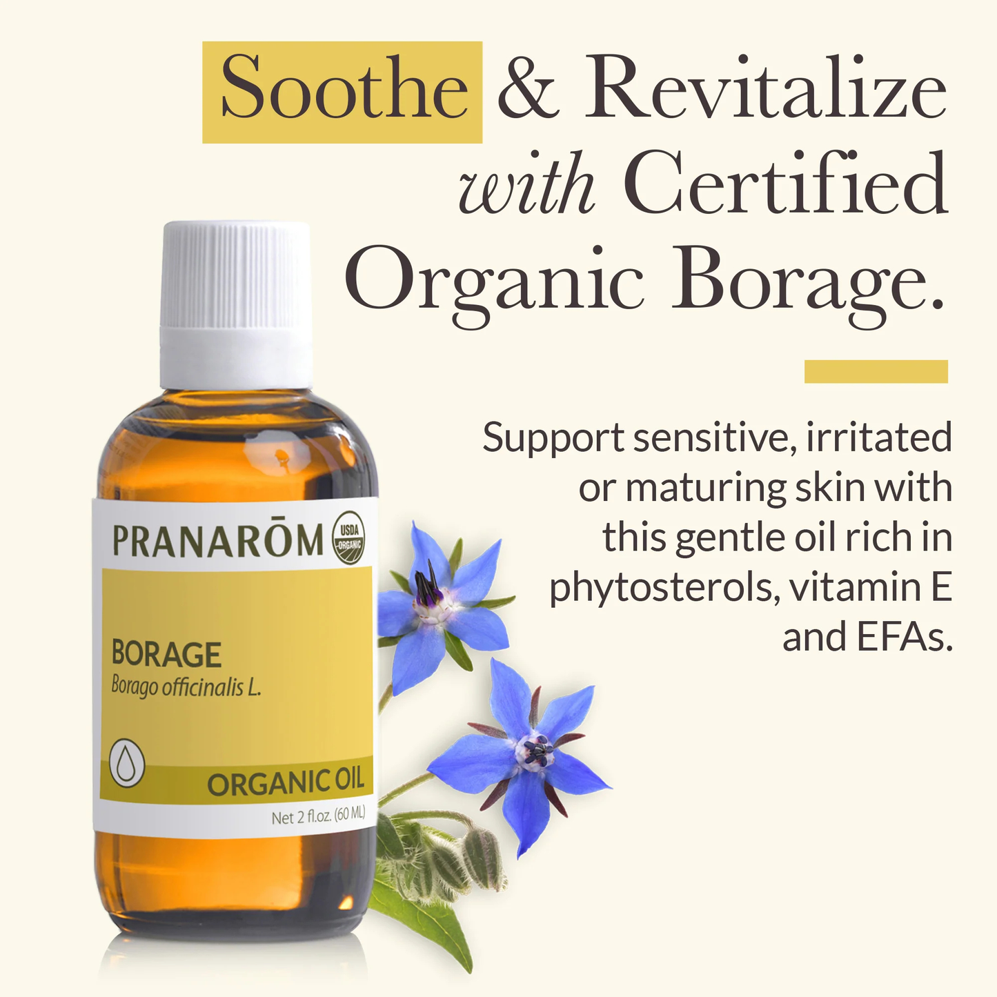 Alternate image of  Borage Virgin Plant Oil 