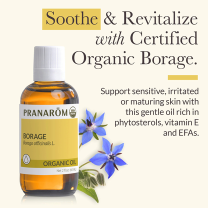 Alternate image of  Borage Virgin Plant Oil 