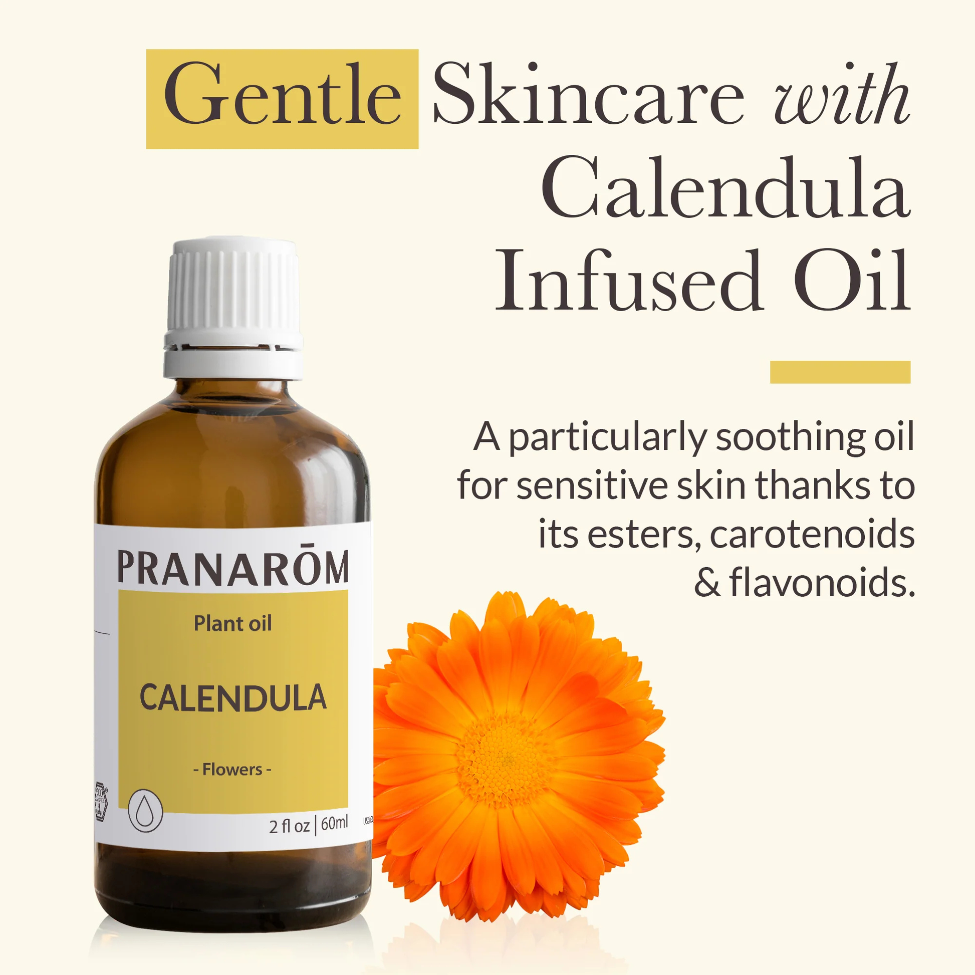 Alternate image of Pranarom Calendula Virgin Plant Oil