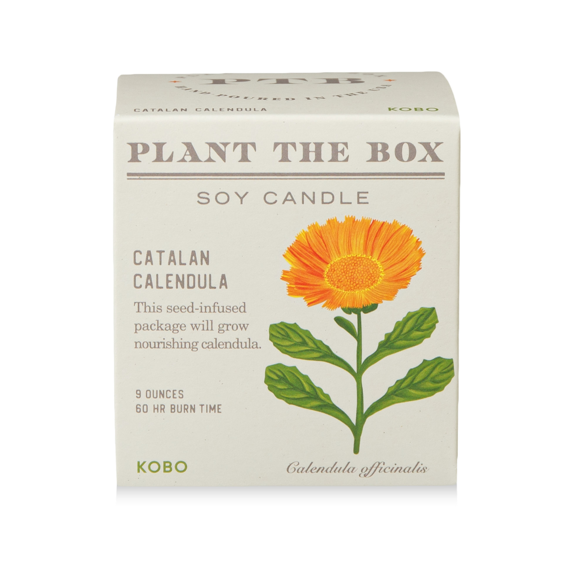 Primary Image of Catalan Calendula Plant the Box Candle