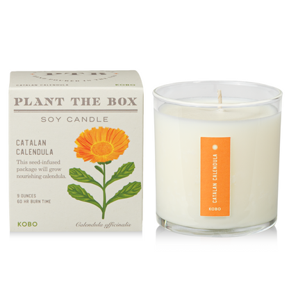 Alternate Image of Catalan Calendula Plant the Box Candle