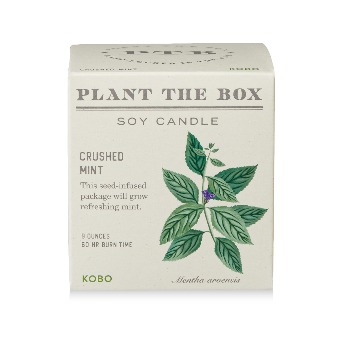 Alternate Image of Crushed Mint Plant the Box Candle