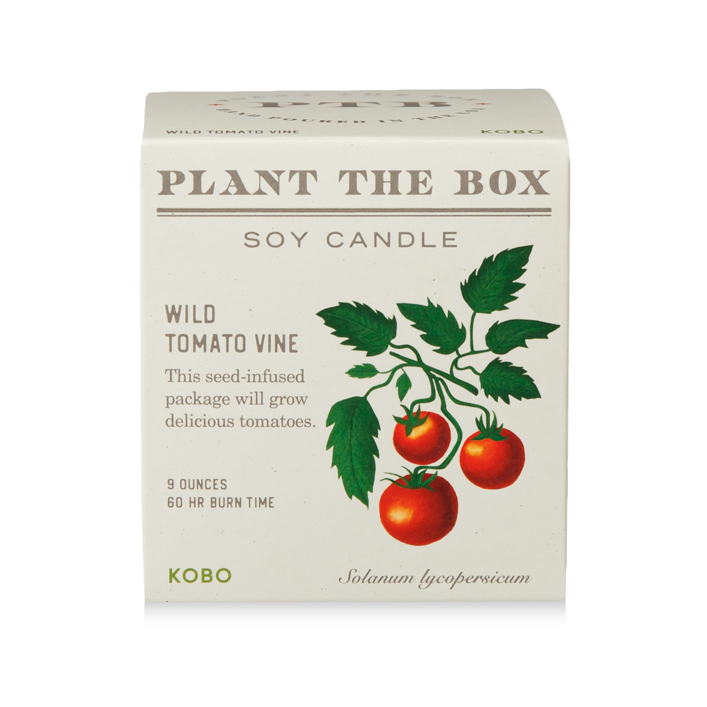 Alternate Image of Wild Tomato Vine Plant the Box Candle