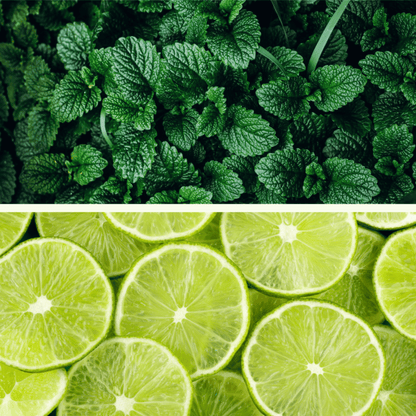 Alternate Image of Organic Mint and Lime Foot Bath Salt