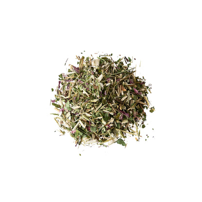 Primary Image of Echinacea Purpurea Herb