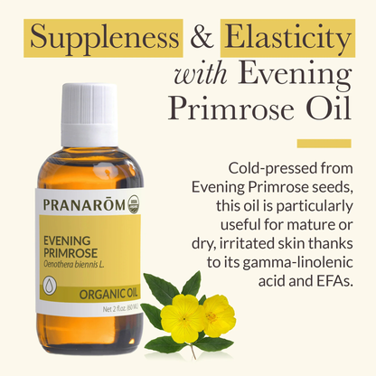 Alternate image of Pranarom Evening Primrose Virgin Plant Oil