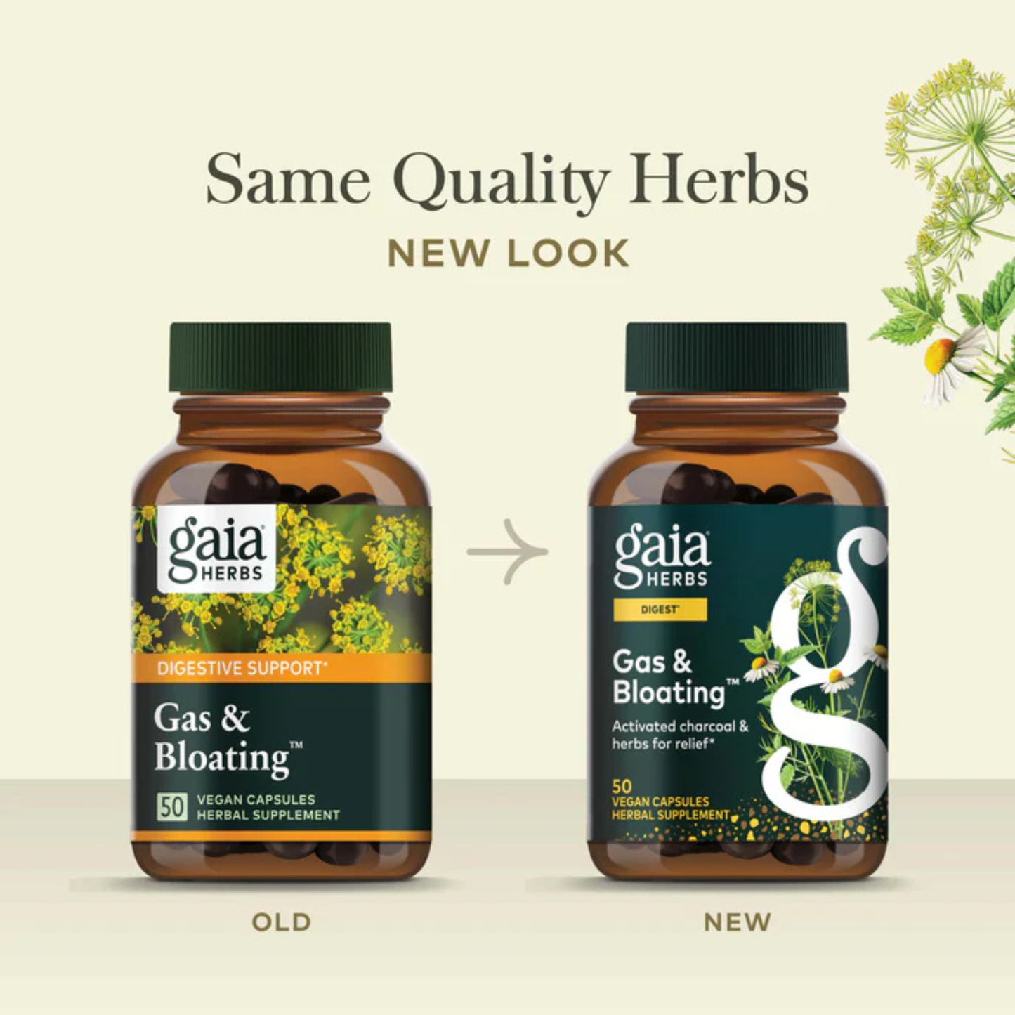 Alternate image of Gaia Gas and Bloating