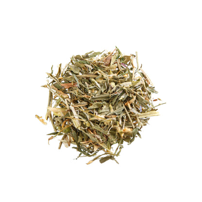 Primary Image of Goats Rue (Galega officinalis)