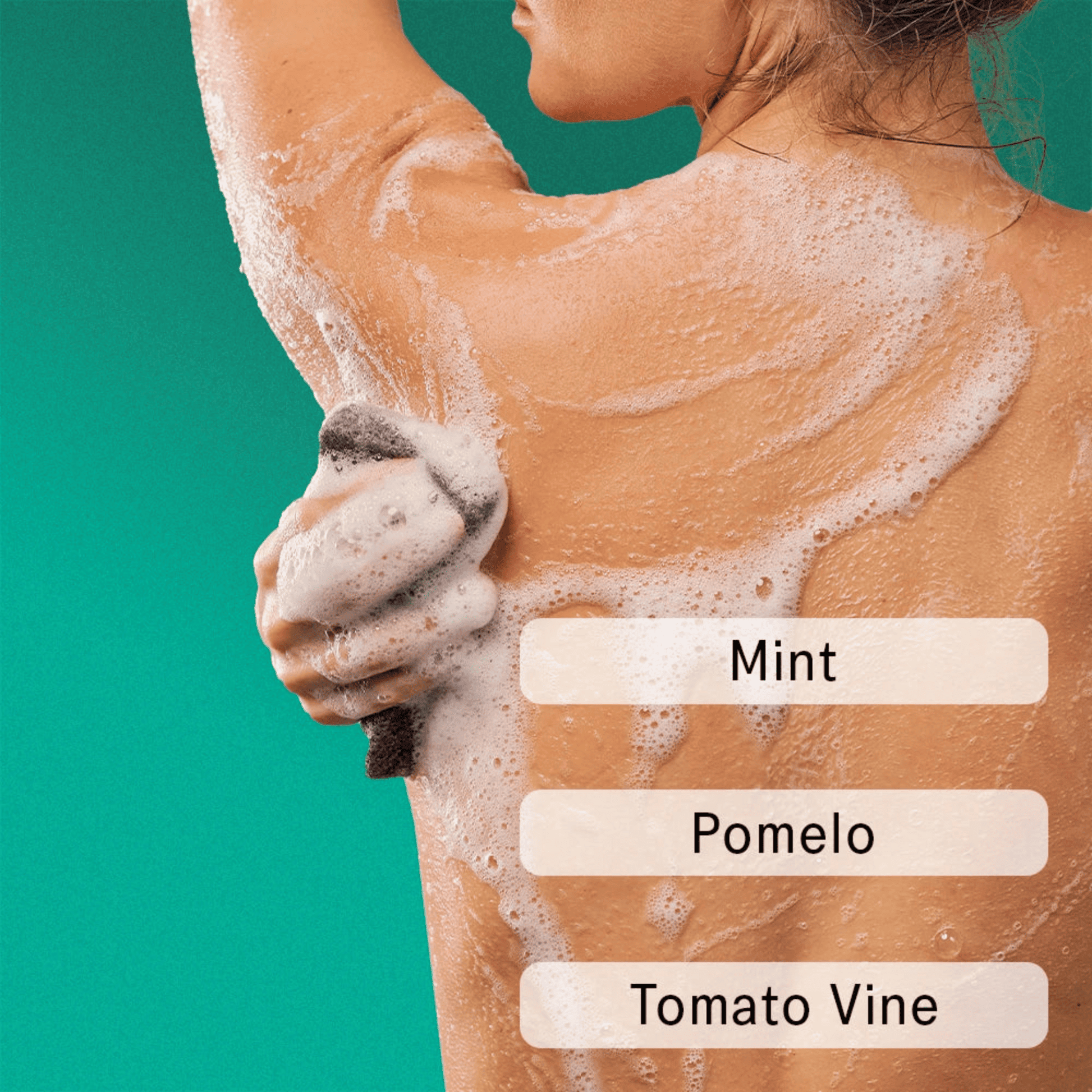 Alternate image of AKT  SC.04 Halcyon Summers Body Wash Concentrate