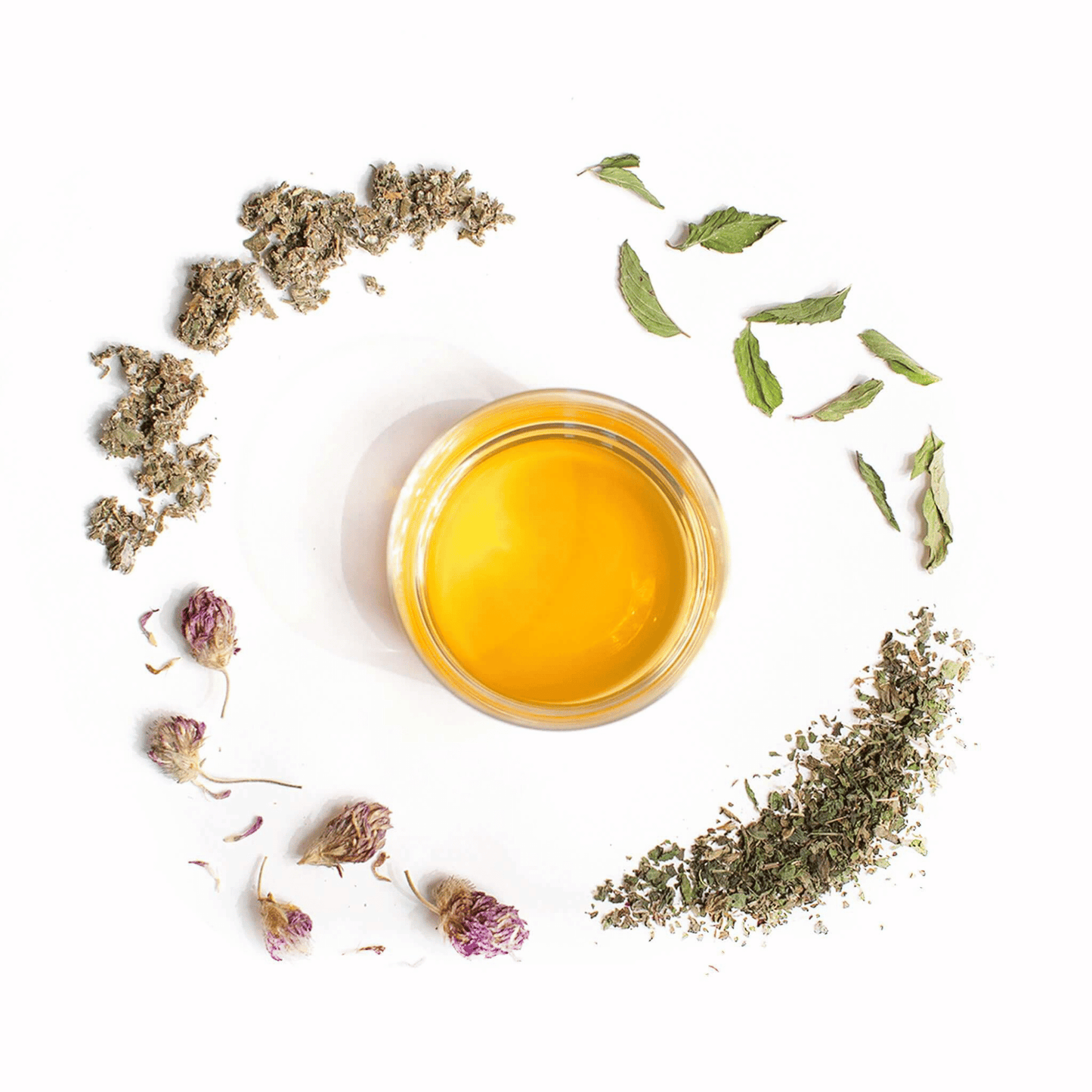 Alternate image of cup of tea surrounded by leaves and flowers from the tea
