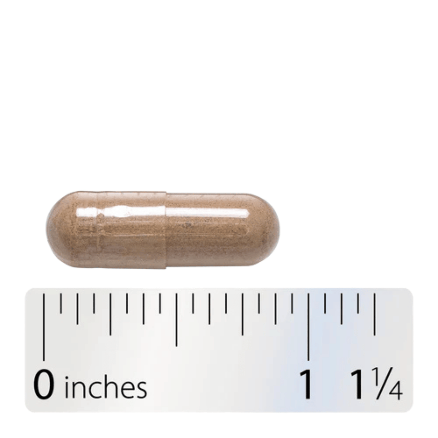 Alternate image of Nature's Way Black Cohosh Root (180 ct)