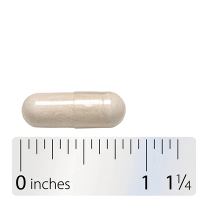 Alternate image of Nature's Way Fortify Optima 35B Probiotic (30 ct)