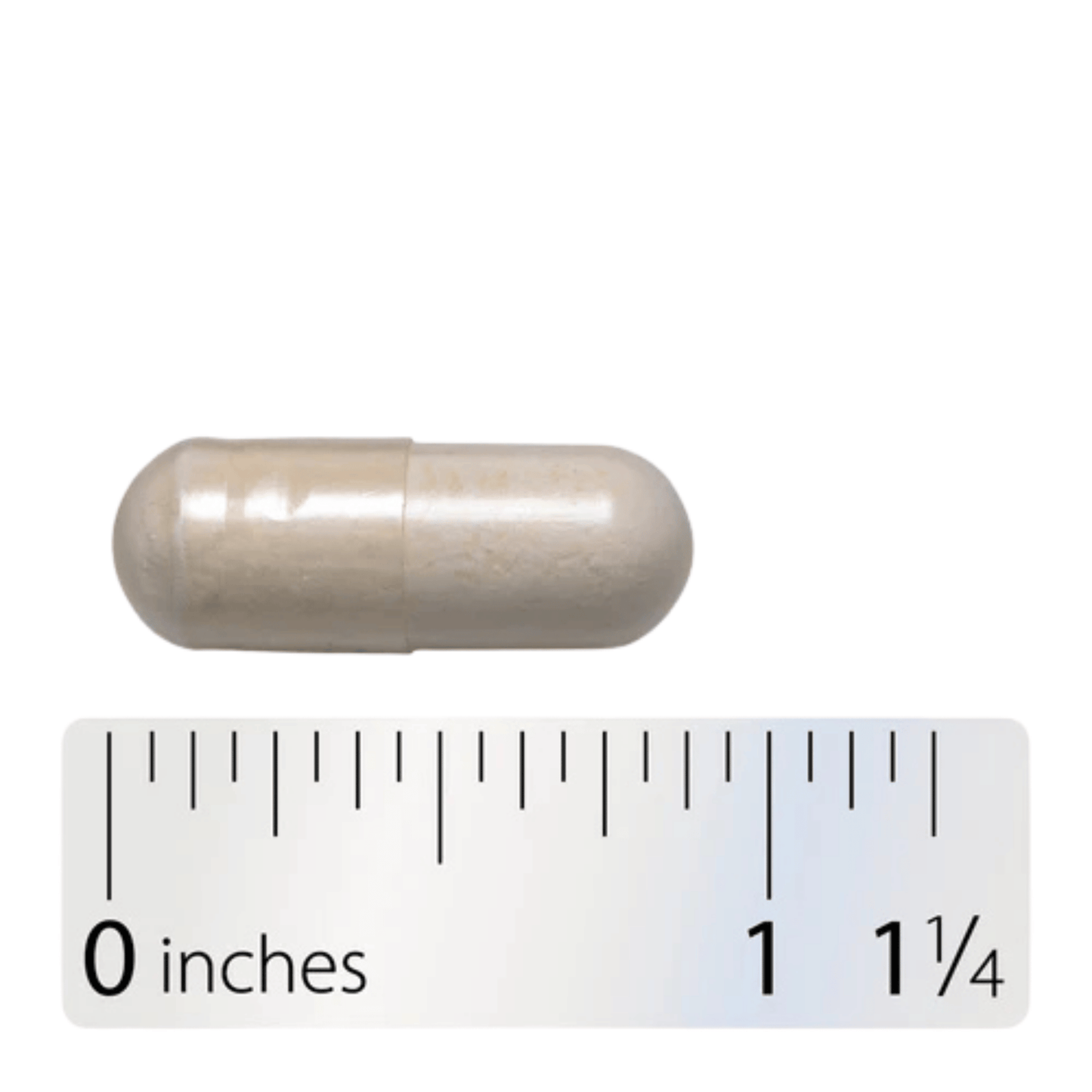 Alternate image of Nature's Way Fortify Women's 30B Daily Probiotic (30 ct)