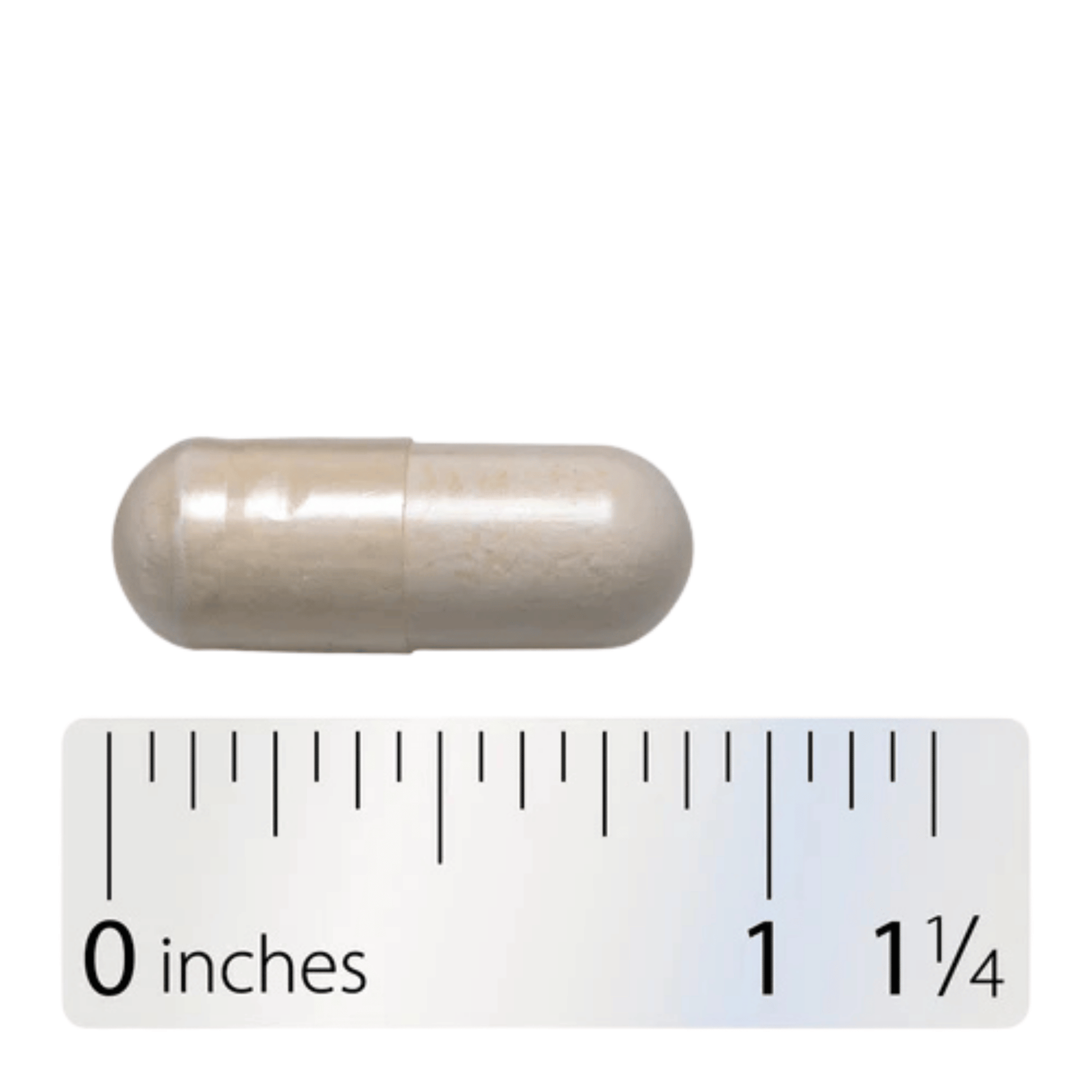Alternate image of Nature's Way Fortify Women's 30B Daily Probiotic (30 ct)
