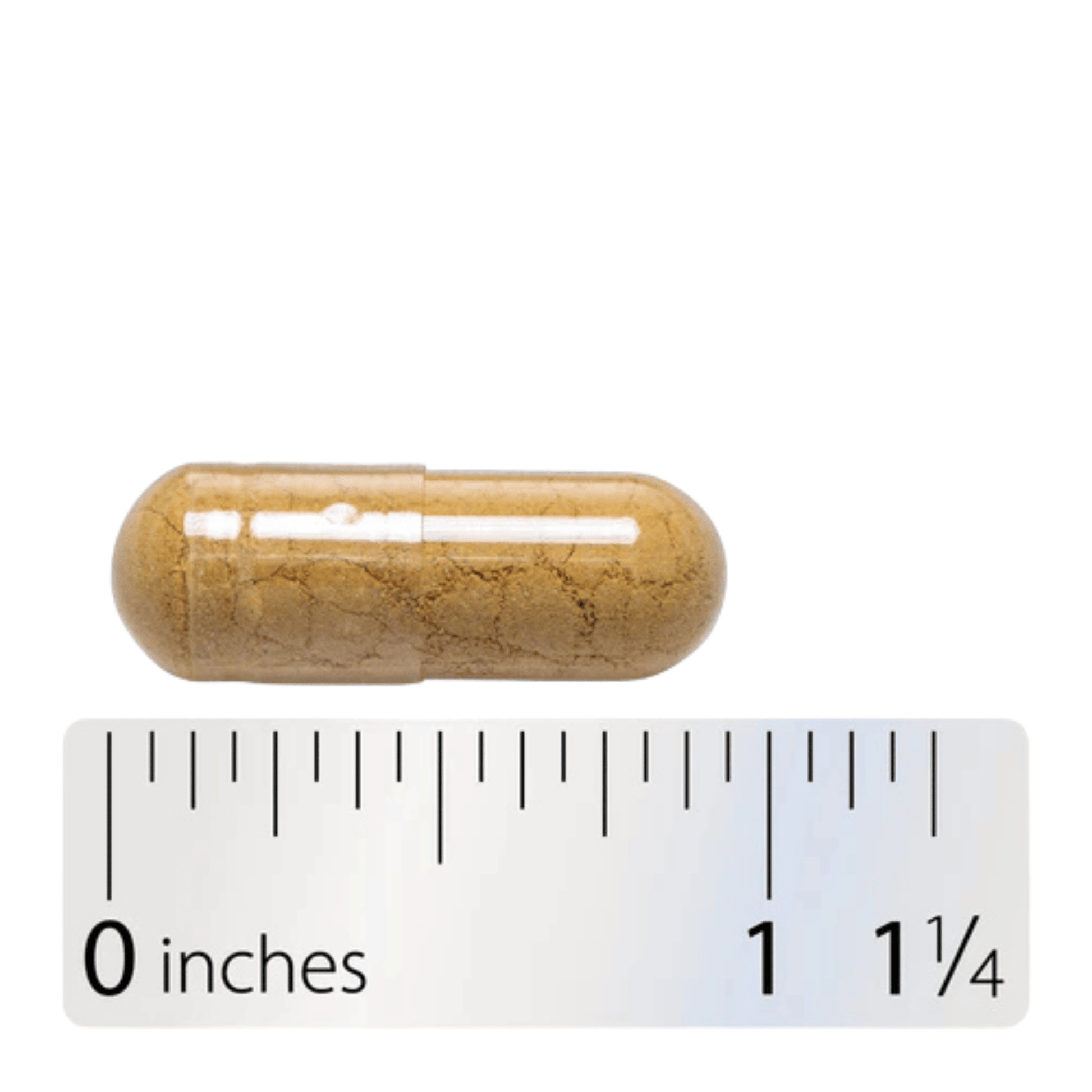 Alternate image of Nature's Way Ginger Root (180 ct)