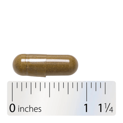Alternate image of Nature's Way Goldenseal Root (50 ct)