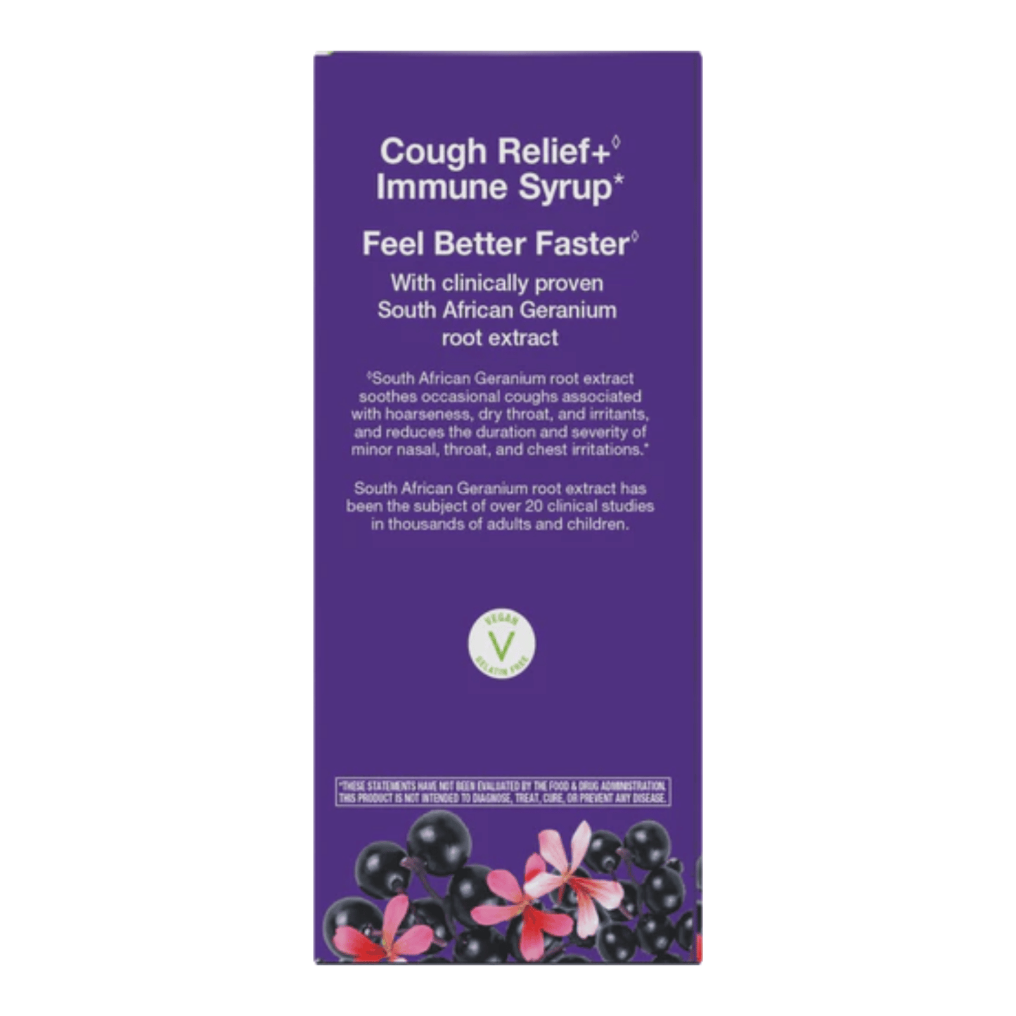 Alternate image of Nature's Way Kids Sambucus Cough Relief and Immune Syrup (4 oz)
