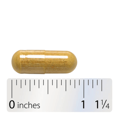 Alternate image of Nature's Way Super Thisilyn (60 ct)