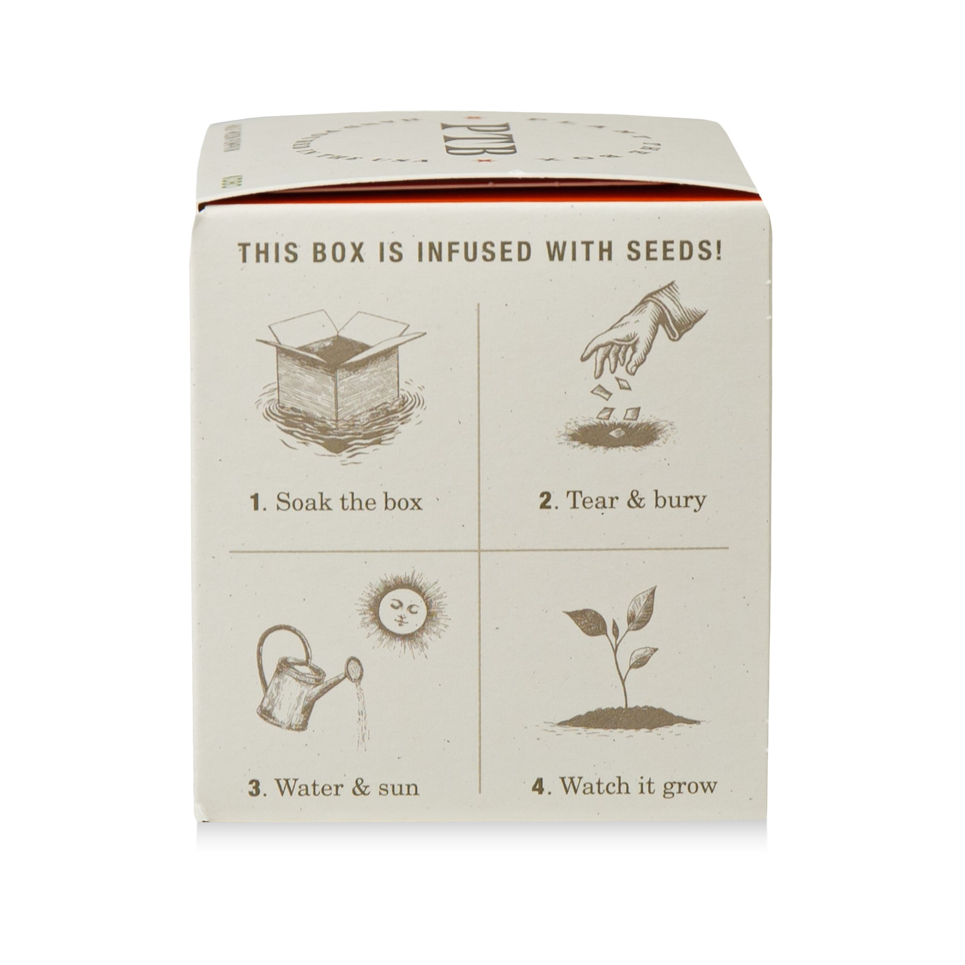 Alternate Image of Half Moon Pumpkin Plant The Box Candle