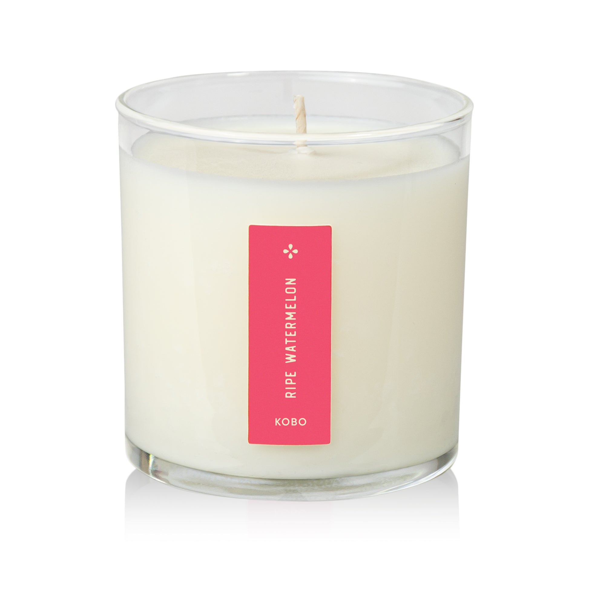 Alternate Image of Plant the Box Ripe Watermelon Candle 