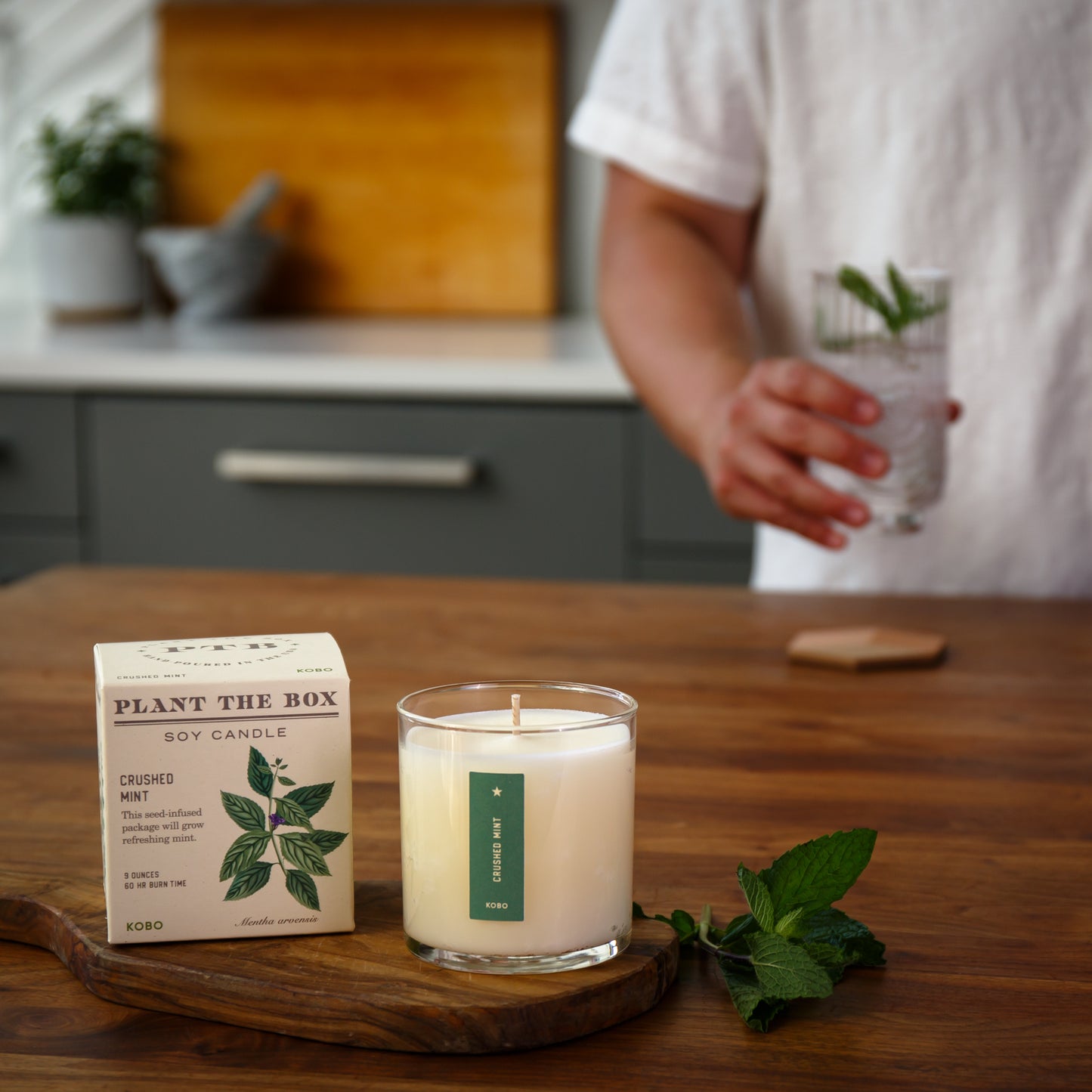 Alternate Image of Crushed Mint Plant the Box Candle