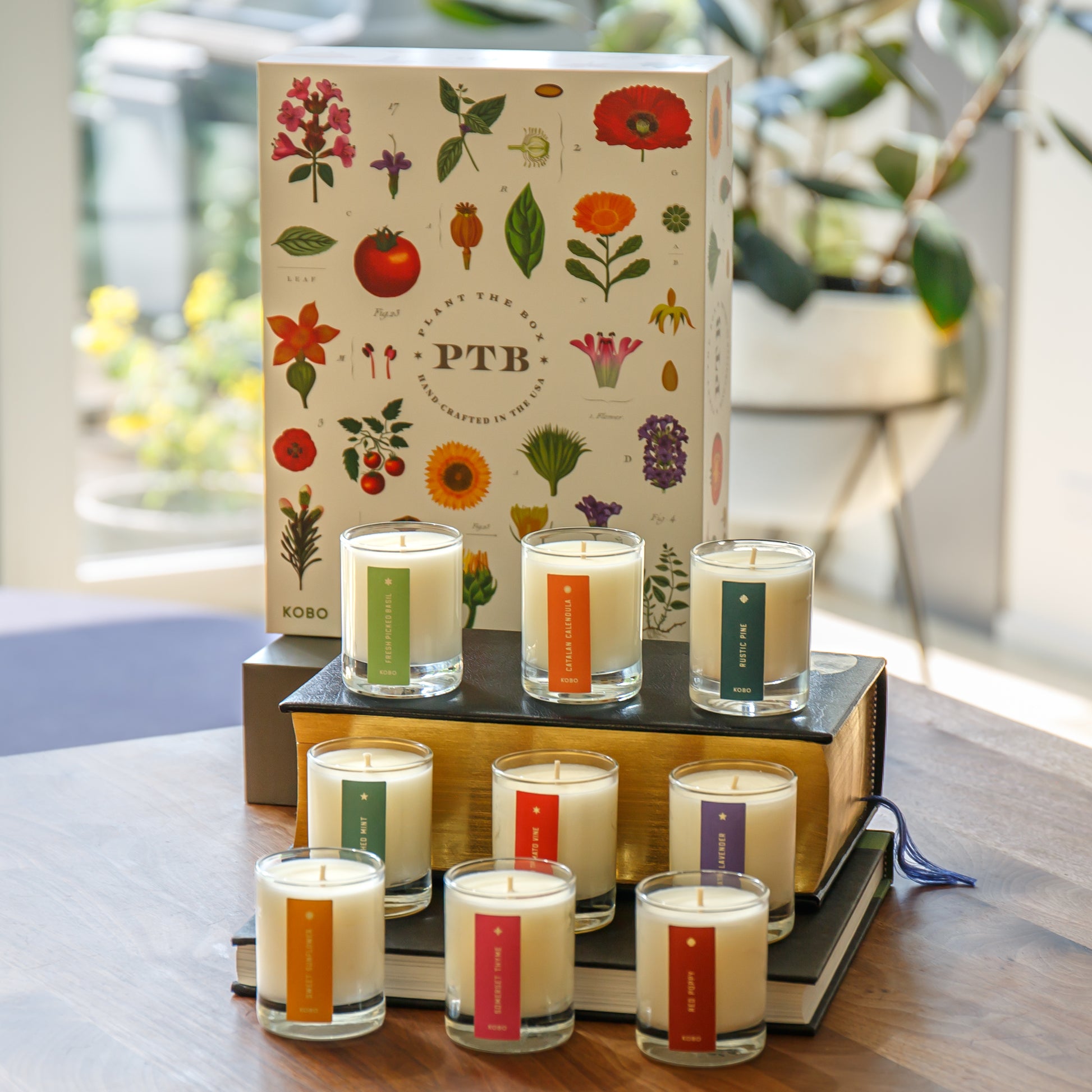 Alternate Image of Plant the Box Votive Gift Set