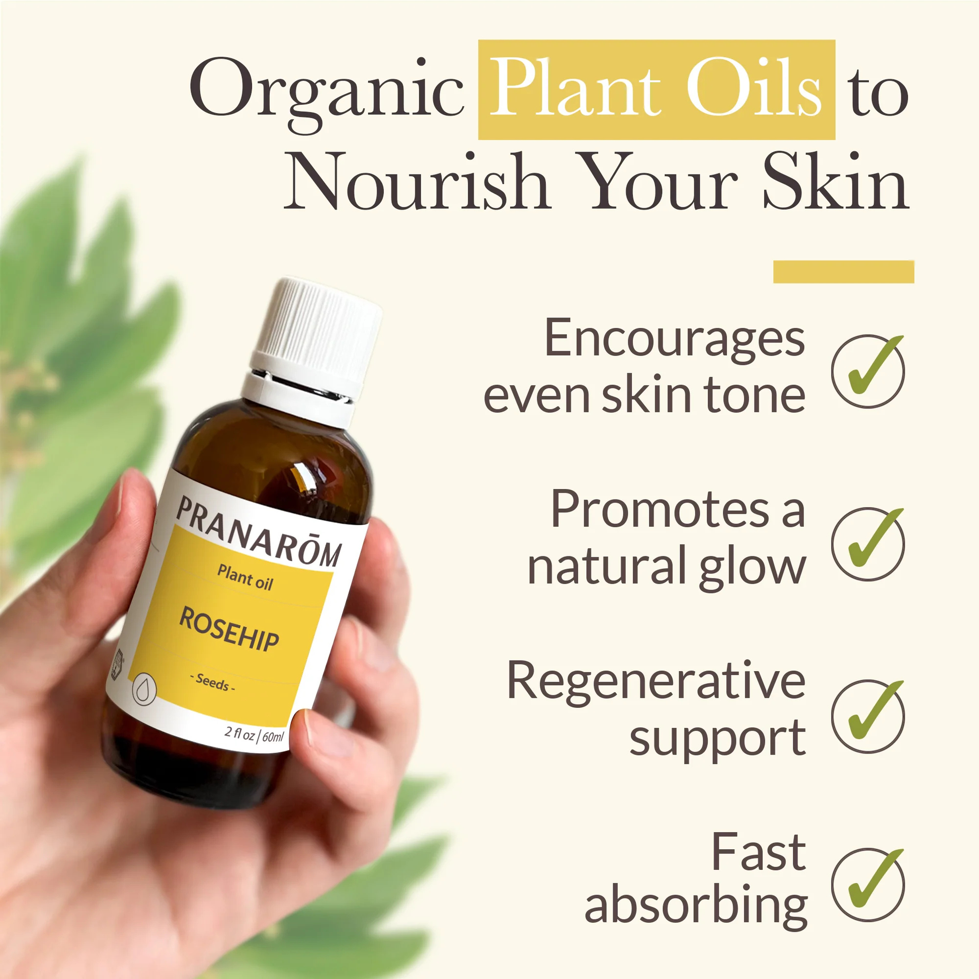 Alternate image of Pranarom Rosehip Virgin Plant Oil 