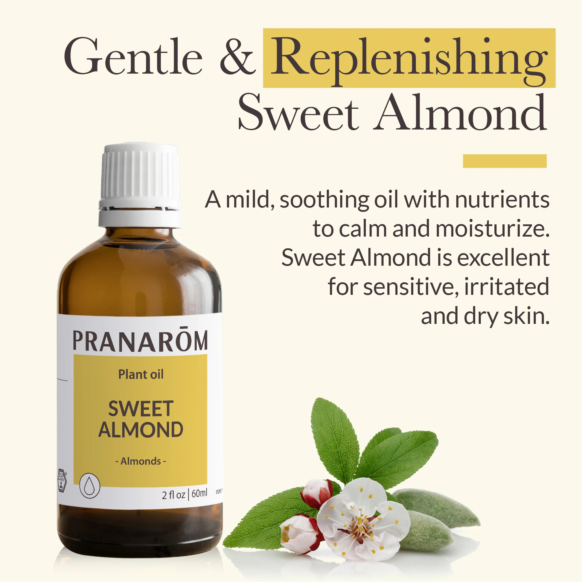 Alternate image of Pranarom Sweet Almond Virgin Plant Oil