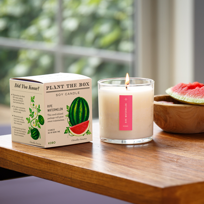 Alternate Image of Plant the Box Ripe Watermelon Candle 