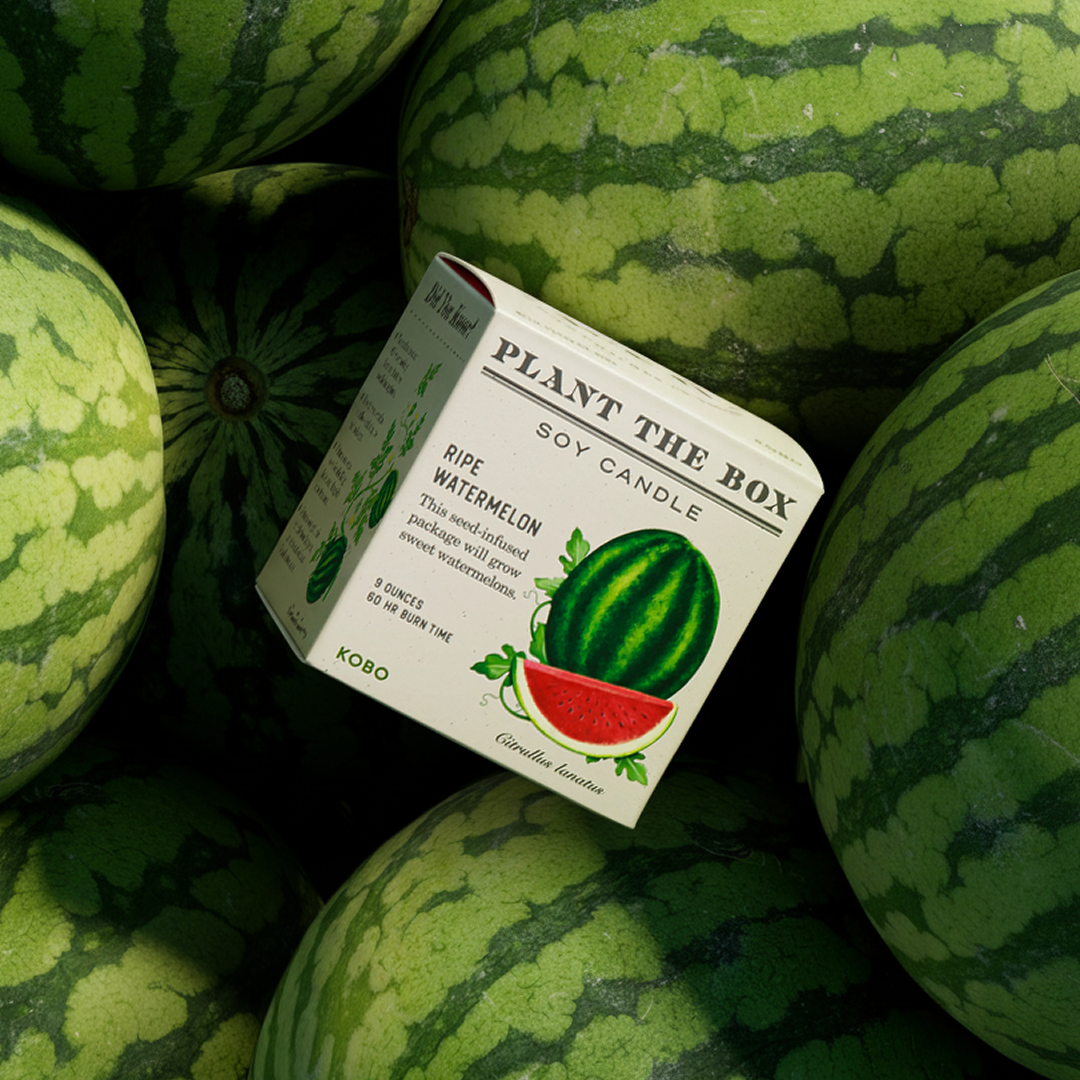 Alternate Image of Plant the Box Ripe Watermelon Candle 