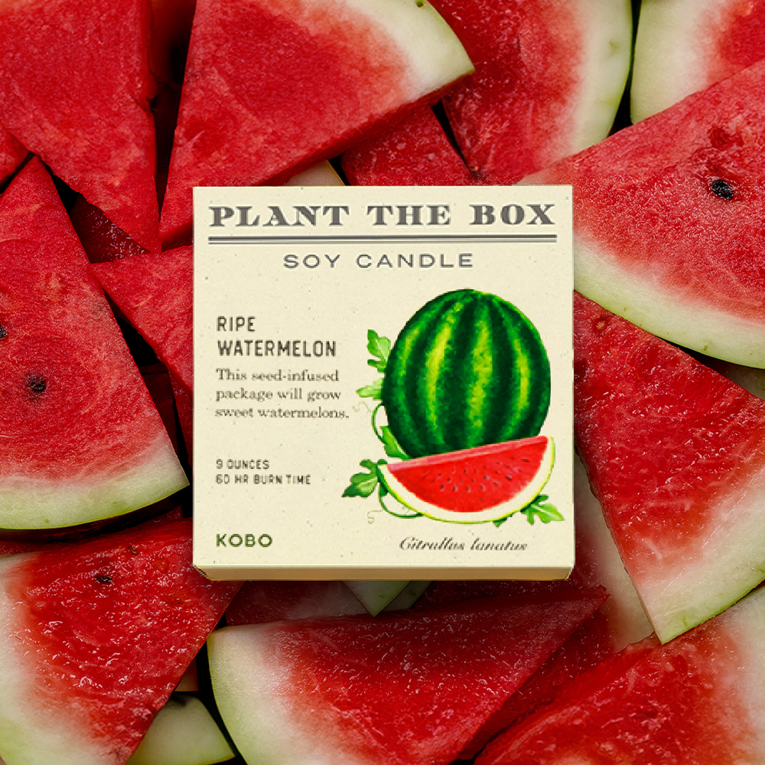 Alternate Image of Plant the Box Ripe Watermelon Candle 