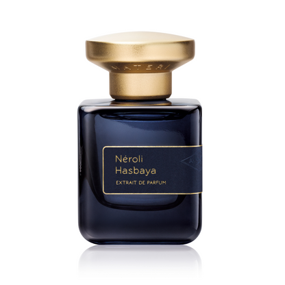 primary image of atelier materi neroli hasbaya 
