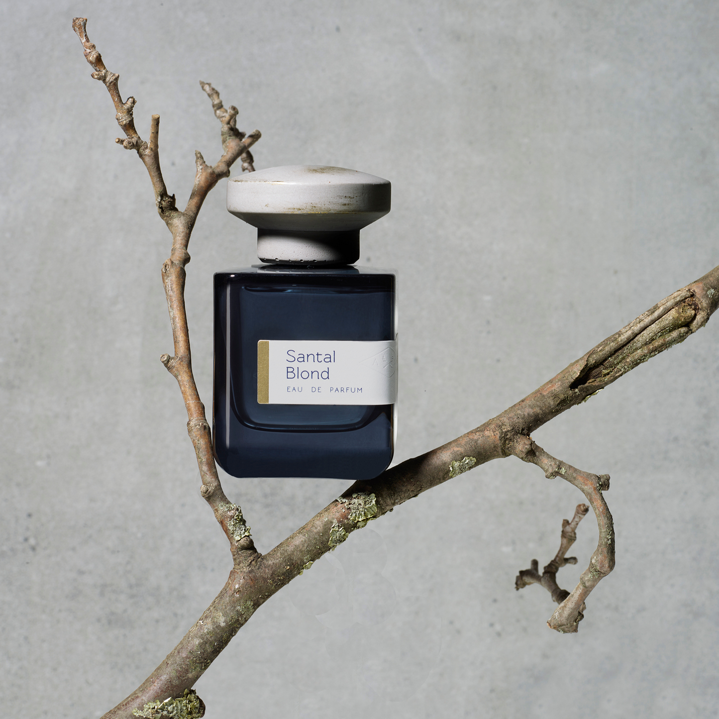 alternate image of atelier materi santal blond edp