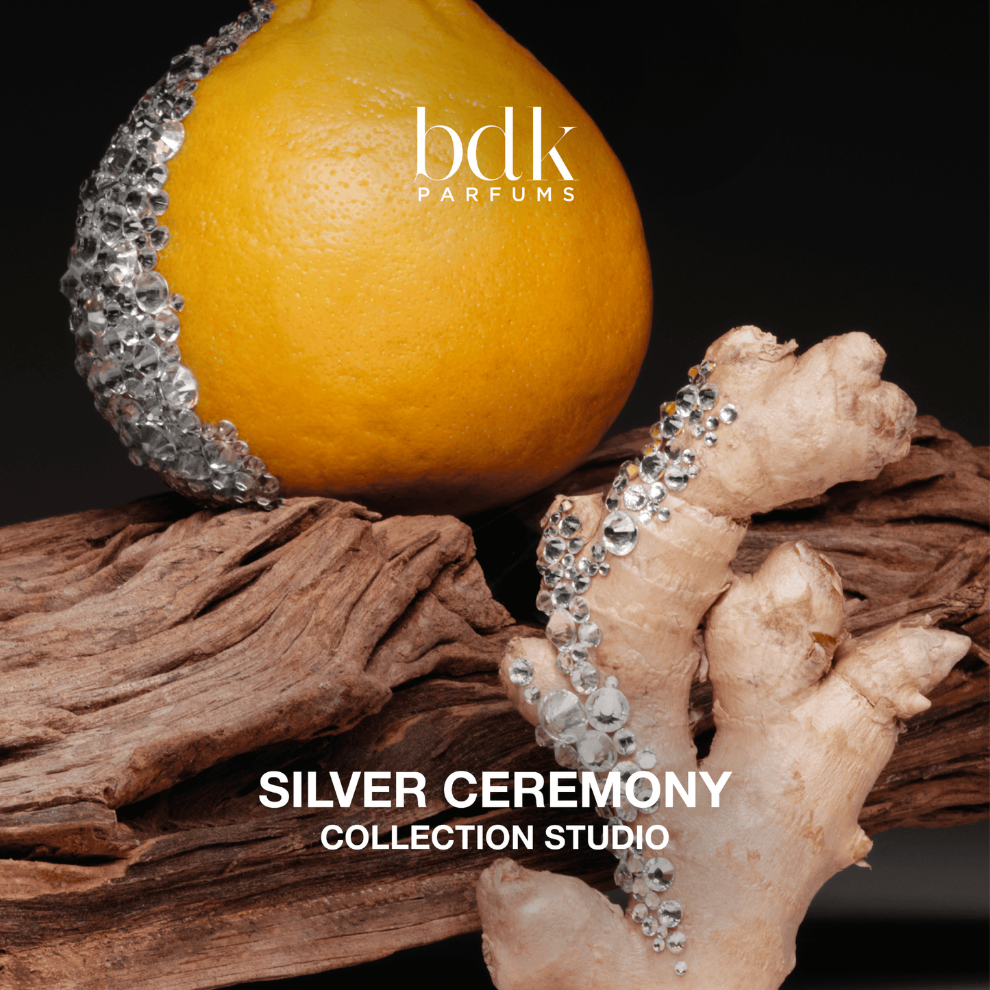 Alternate Image of Silver Ceremony ADP, fragrance notes