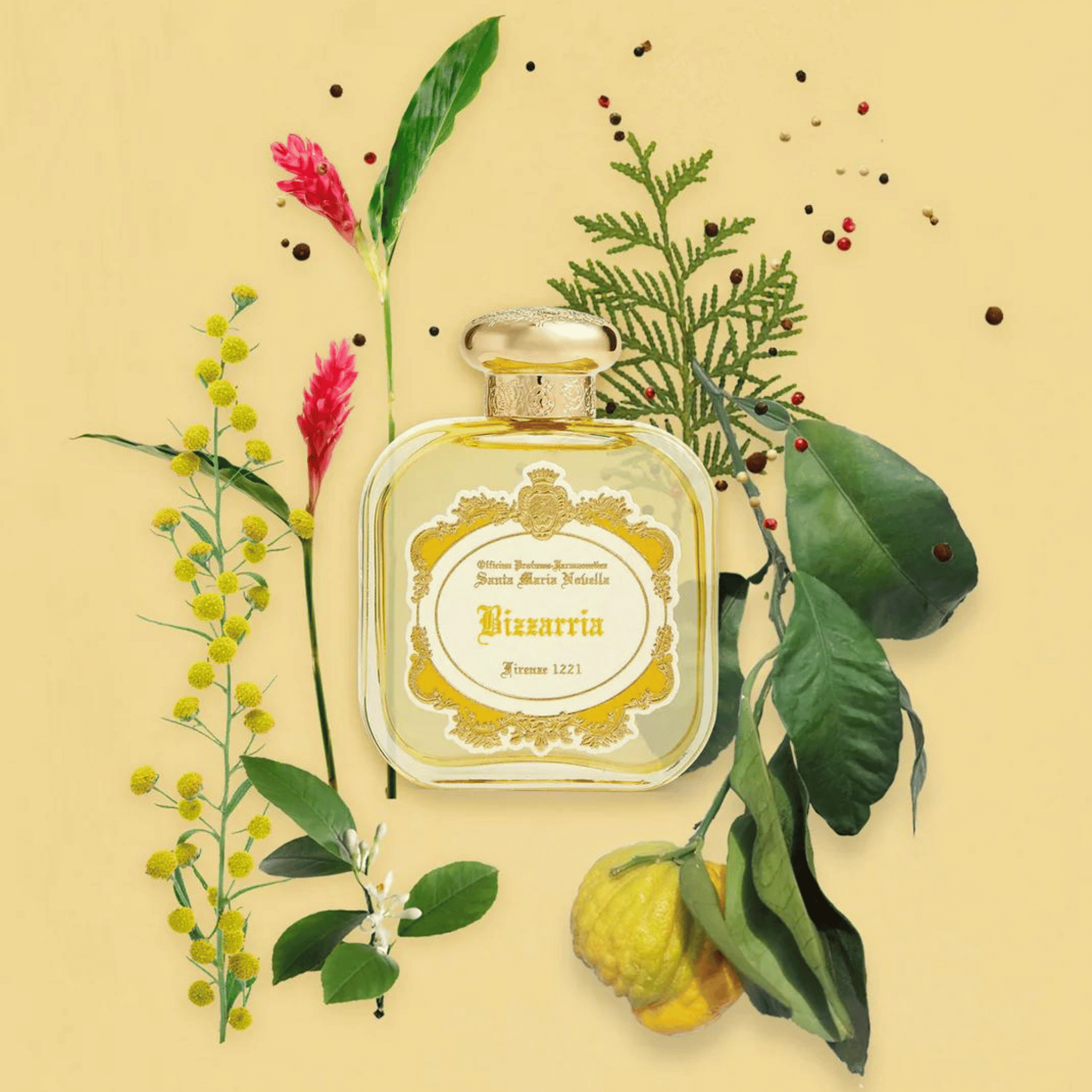 Alternate Image of Bizzarria EDP