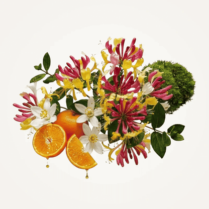 Alternate Image of Honeysuckle EDT, plants and flowers