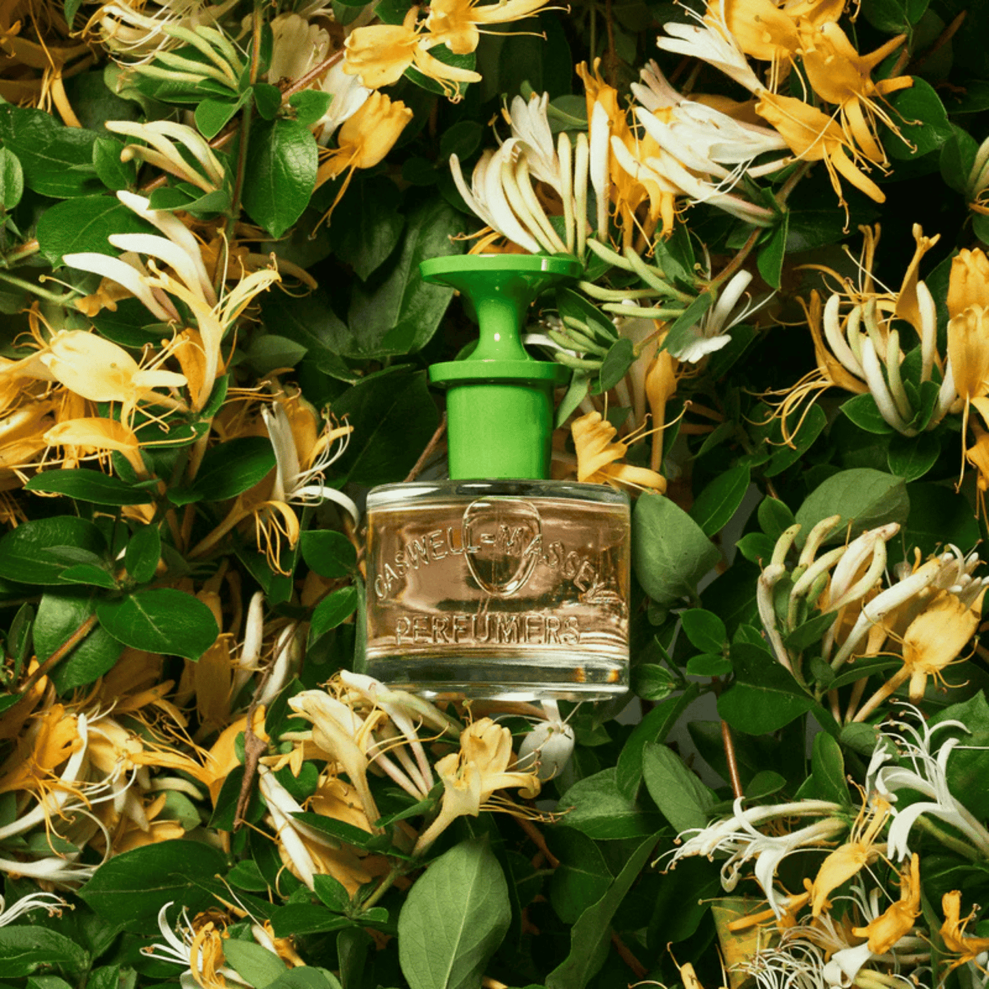 Alternate Image of Honeysuckle EDT, perfume bottle with green lid