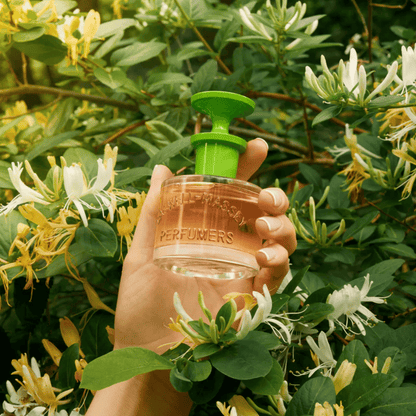 Alternate Image of Honeysuckle EDT, perfume bottle with green lid