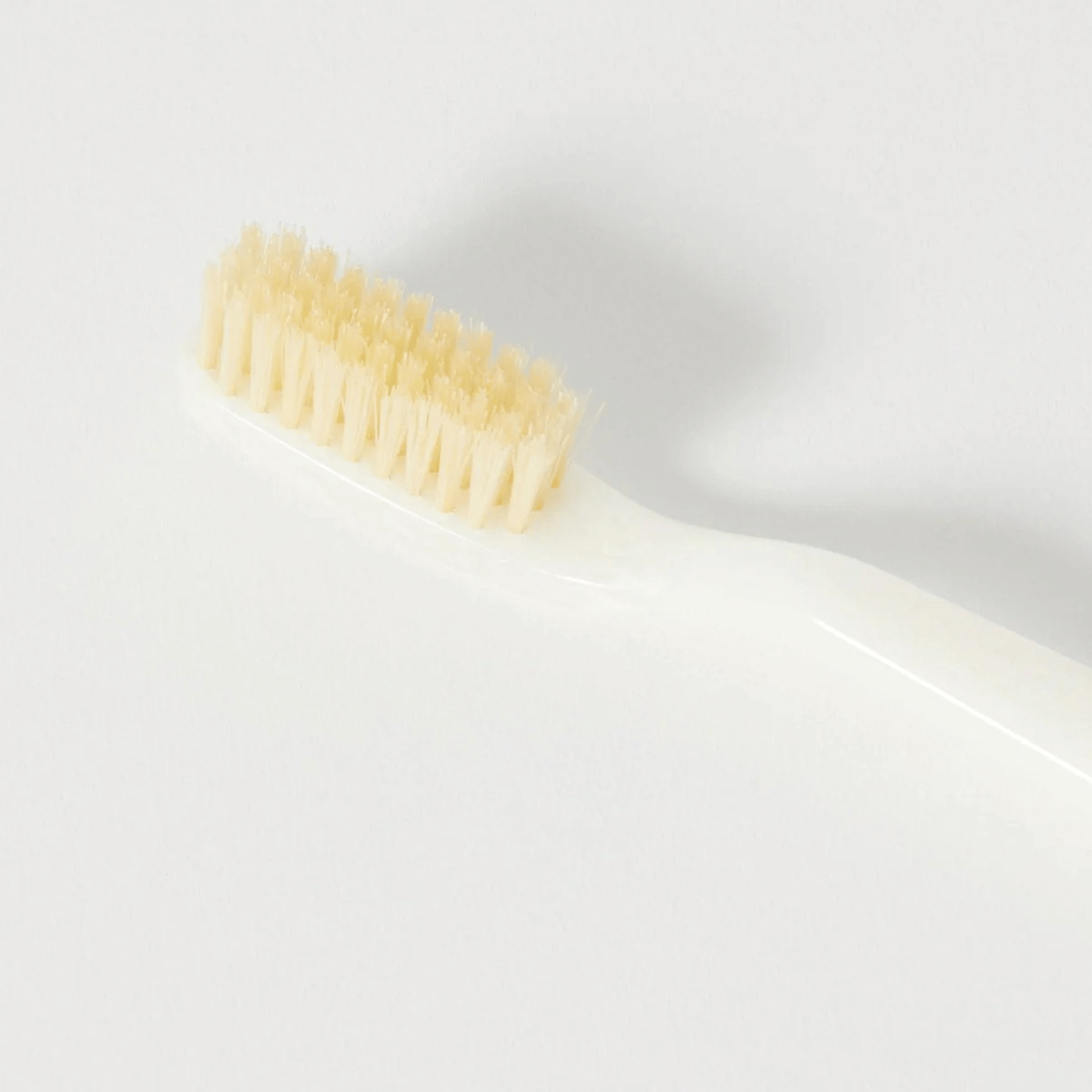 Alternate Image of Natural Bristle Toothbrush - Ivory, ivory handle toothbrush