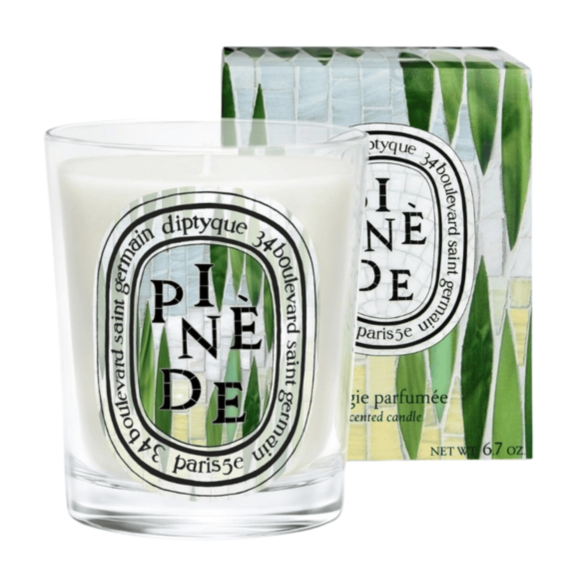 Primary image of Diptyque Paris Limited Edition Pinede Candle 6.7oz