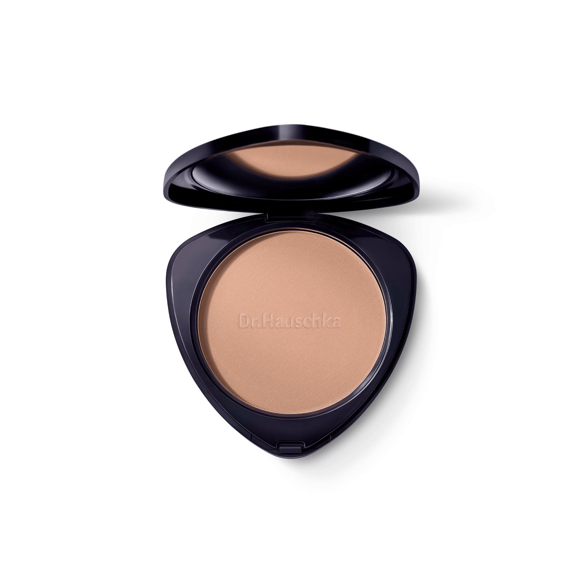 Primary Image of Bronzing Powder 01 - Bronze